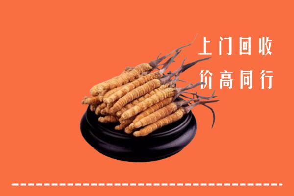 收购行情：开封市祥符回收散虫草
