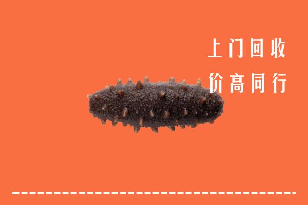 高价求购：开封市祥符回收海参