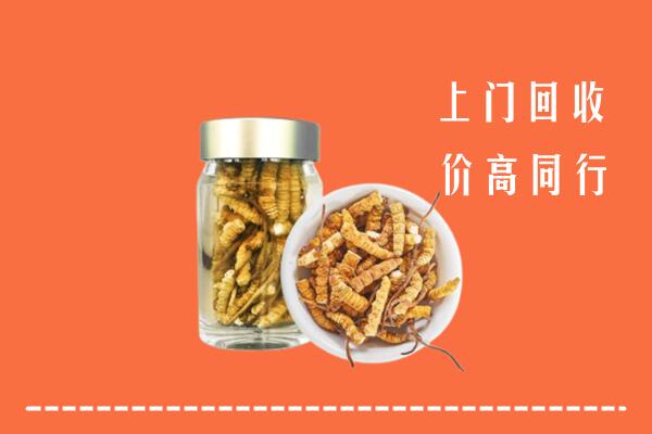 开封市祥符回收冬虫夏草