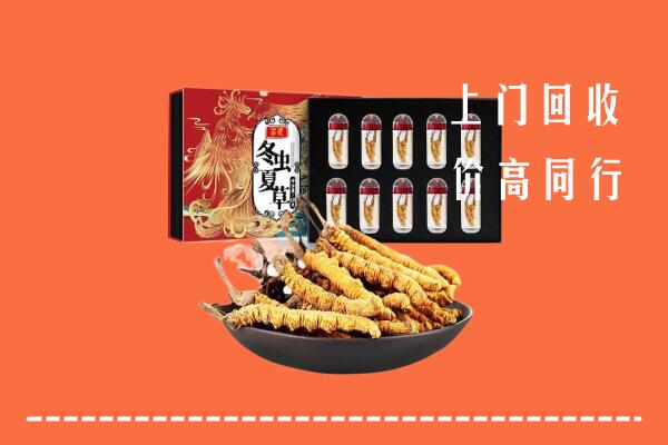 开封市祥符回收虫草